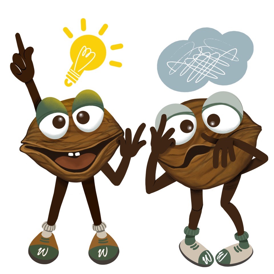 About the Walnuts The Walnuts